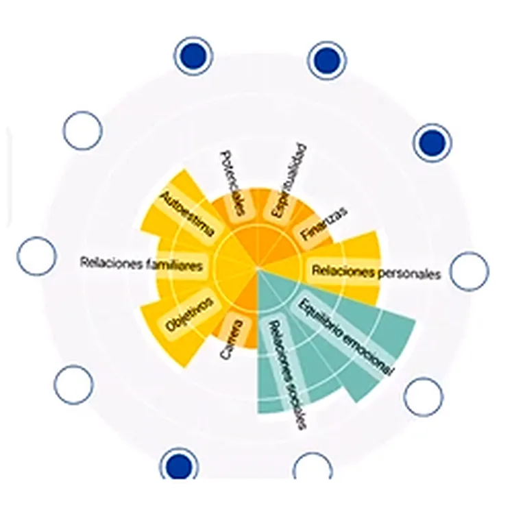 Rueda de la Vida del Módulo Coach de Healy — gráfico circular que evalúa 10 áreas de vida